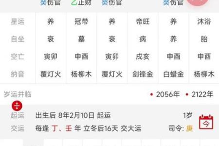 轻松掌握命运走向：八字排盘宝下载安装