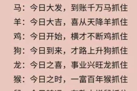 兔鼠相配婚姻能走多远？从性格到未来
