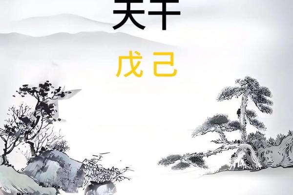 探究十天干中的戊土特性与运势