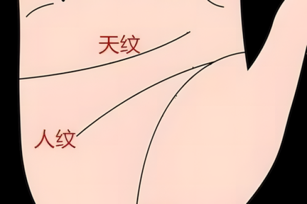 手指形状与财富的神秘联系