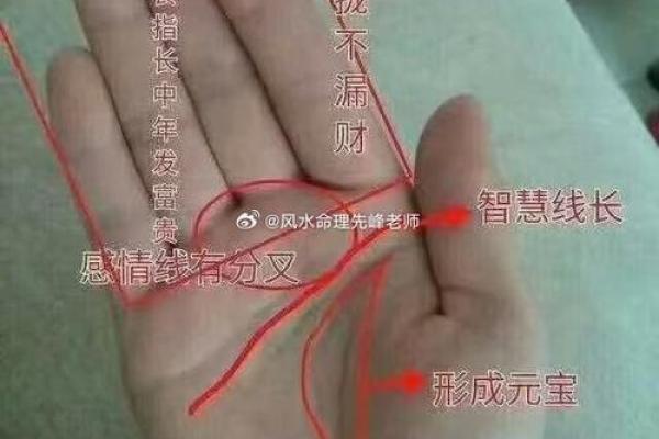 手相学中的阴阳之道与命运抉择