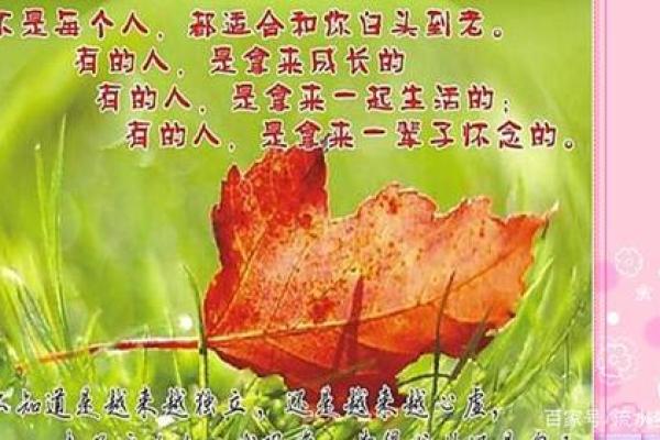 探索马猴配对的爱情与婚姻适配性