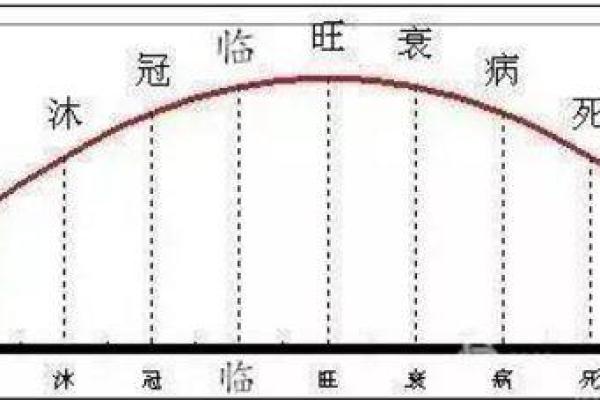 黎明八字详解：如何通过八字了解命运走向