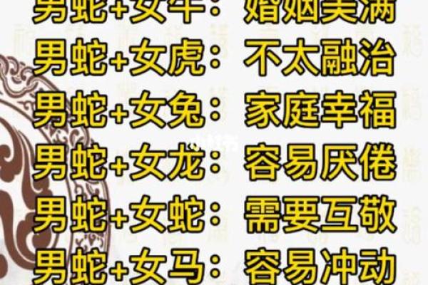 属蛇和属狗的最佳配对分析