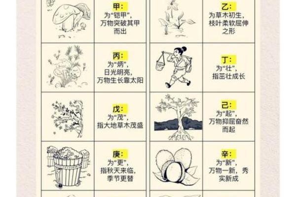 天干地支的配合与命运走向：探索其背后的深层意义