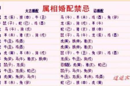 属蛇和属狗的最佳配对分析