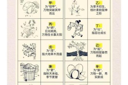 天干地支的配合与命运走向：探索其背后的深层意义