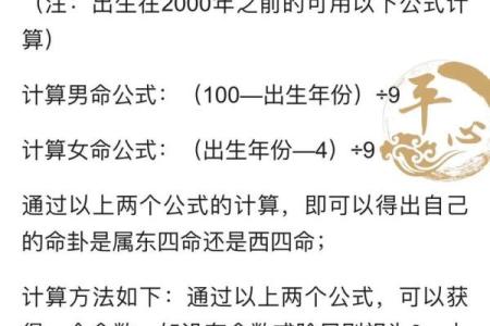 深入解读离宫东四命的命理特点