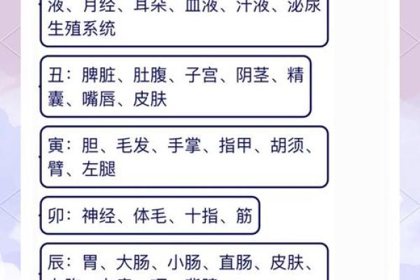 天干地支合的深层含义与实践应用分析