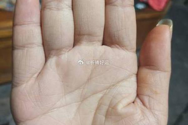 利用拍照技术精准解读你的手相命运