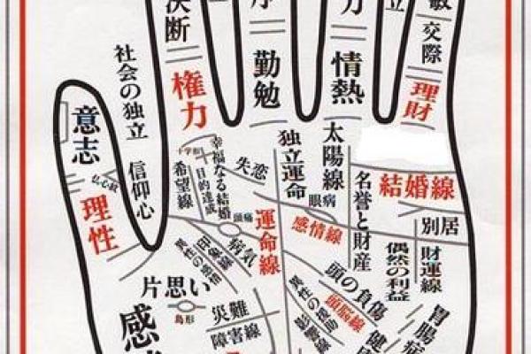 利用拍照技术精准解读你的手相命运