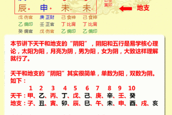 如何通过八字分析夫妻宫的命理特征与婚姻运势