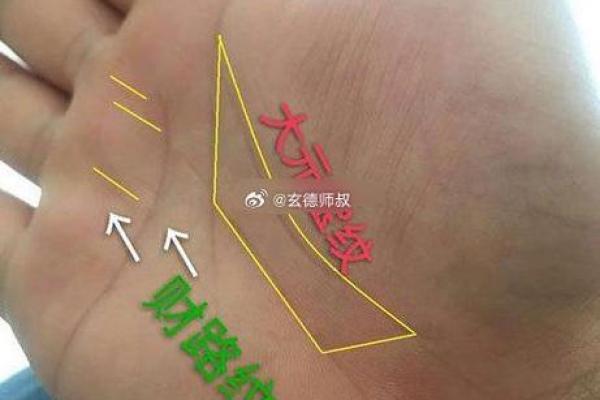 龙吞虎手相在面相学中的独特象征与意义