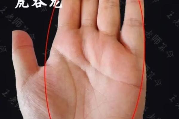 龙吞虎手相在面相学中的独特象征与意义