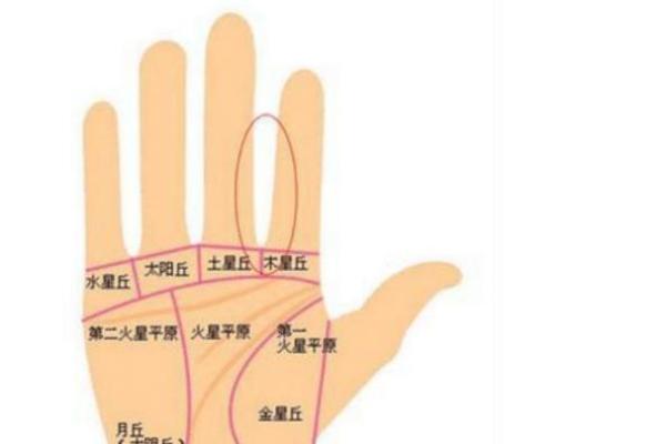 清贵命的特征与命理解析：什么样的人注定高贵非凡