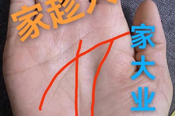 掌心痣相与性格命运的微妙联系