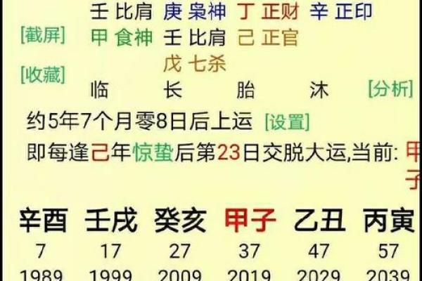 八字风水与人生运势的深度关系解析