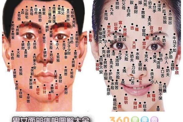 屁股痣相分析：从身体特征看性格与命运