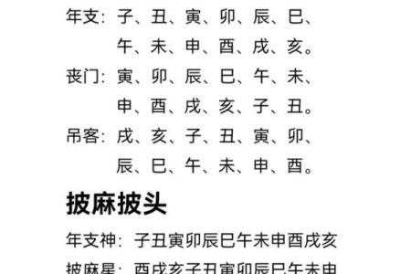 八字风水与人生运势的深度关系解析