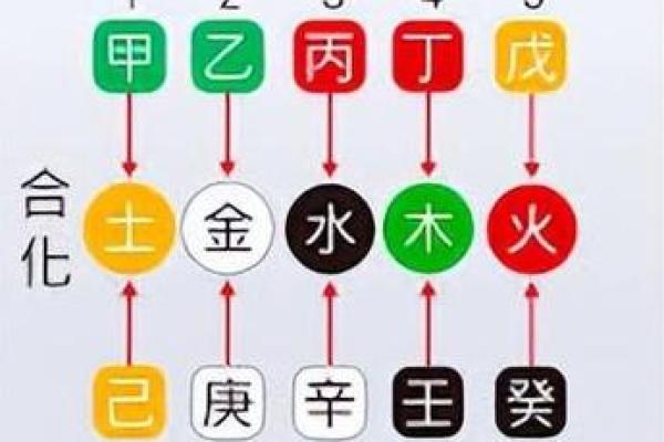 天干甲的喜忌分析与命理影响探讨
