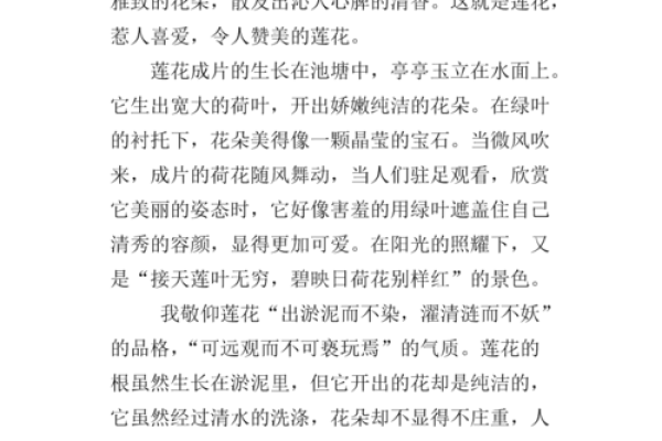 莲花命在命理学中的独特地位与启示