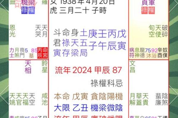 陈晓旭八字揭秘：从命运轨迹看她的成就与挑战