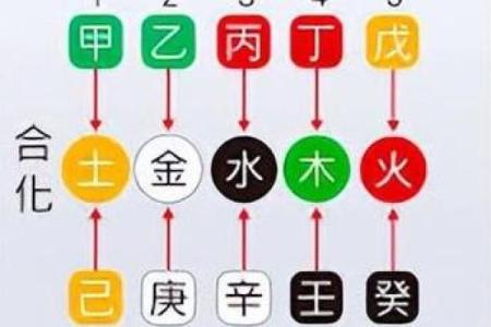 天干甲的喜忌分析与命理影响探讨