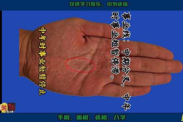 手相与儿女命运的奇妙联系