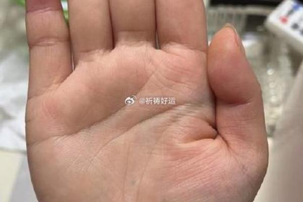 手相拍照算命新潮流，数字时代的命运探索