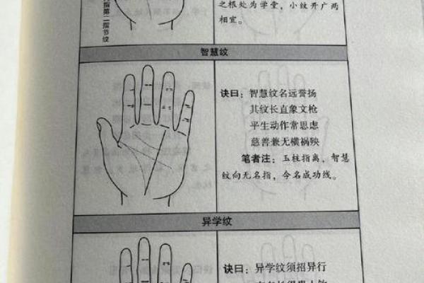 手相纹路解析与运势揭示大全