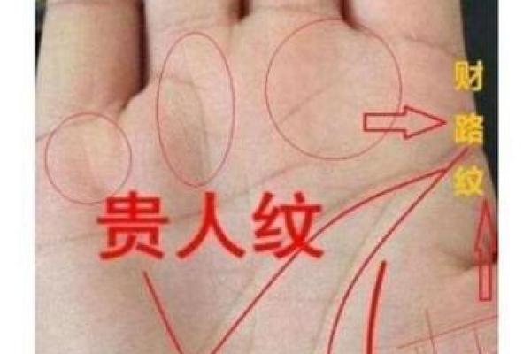手相自动分析，拍照即可了解自己的命运密码