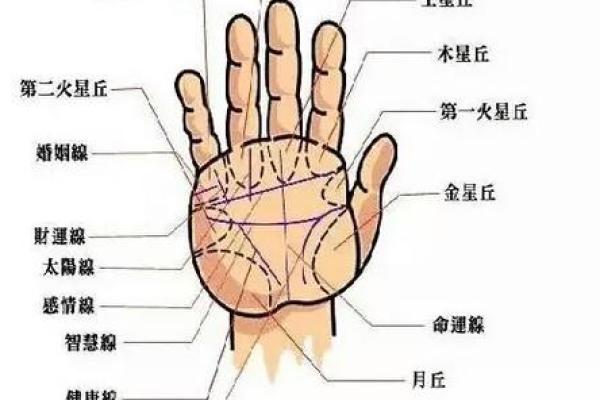 手相自动分析，拍照即可了解自己的命运密码