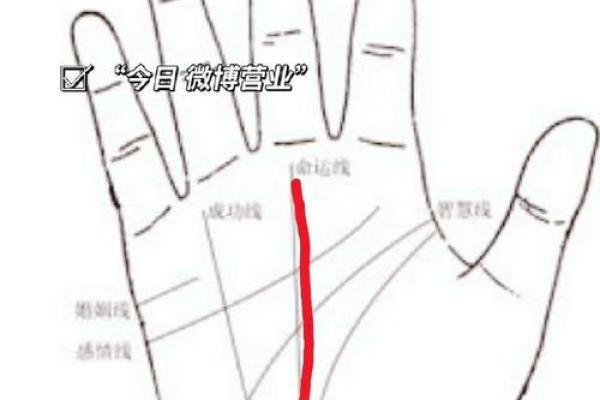手相揭示子女命运：从掌纹看未来孩子的性格与运势