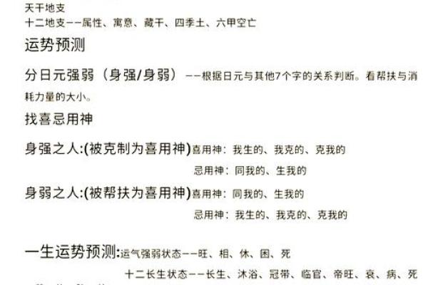 生辰八字五行属性对命运的深远影响解析