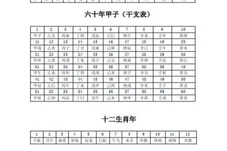 日期天干地支对照表解析与使用指南