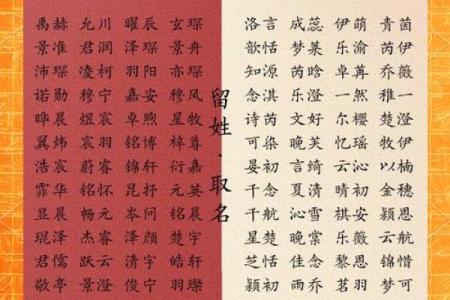 如何为女宝宝挑选一个寓意美好的名字