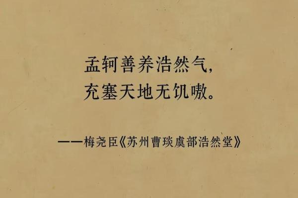 中午出生宝宝命名风水与文化意义解析