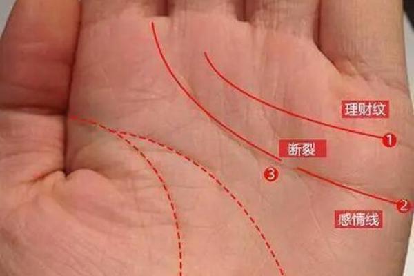 掌中之宝：哪些手掌特征预示着财富和荣华