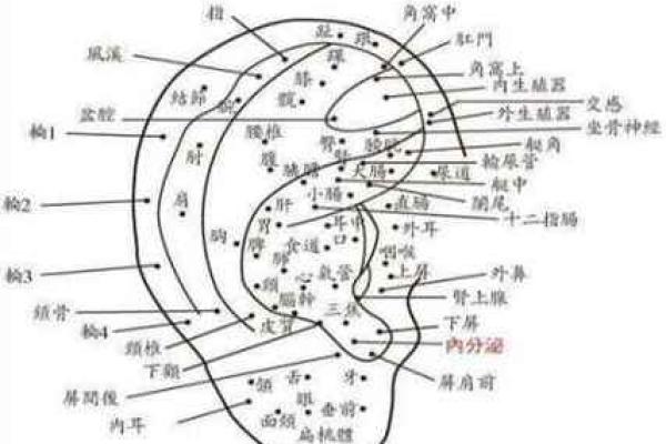 解读女性痣相：从面部痣到身体痣的命运密码