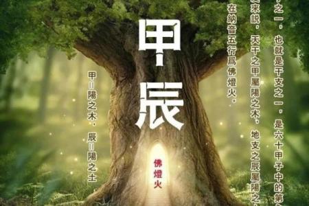 天干中的甲木象征与应用解析