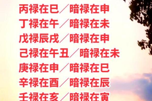 探索八字命理对寿命的深刻影响