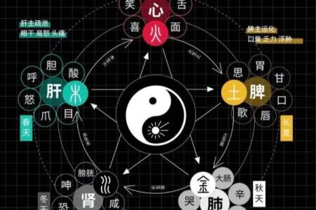 八字与寿命：从五行看生命的长短