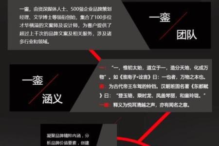 信息科技公司命名策略：从行业特色到品牌定位