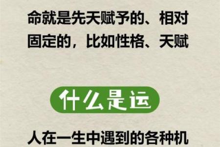 张柏芝八字解析：命运背后的深层含义与人生轨迹