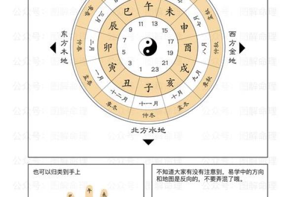 天干地支如何巧妙搭配提升命理运势
