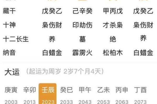 辛酉年天干地支解析：如何看待这一年的命运格局
