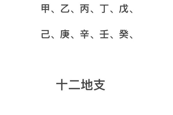 十大天干在命理中的象征意义与影响