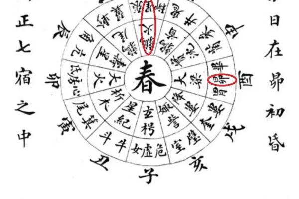 十天干冲的意义与影响解析