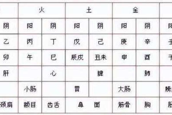 天干地支查询表与万年历的应用与解读