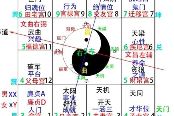 紫微天干四化解析：揭示命理中的四大变化规律